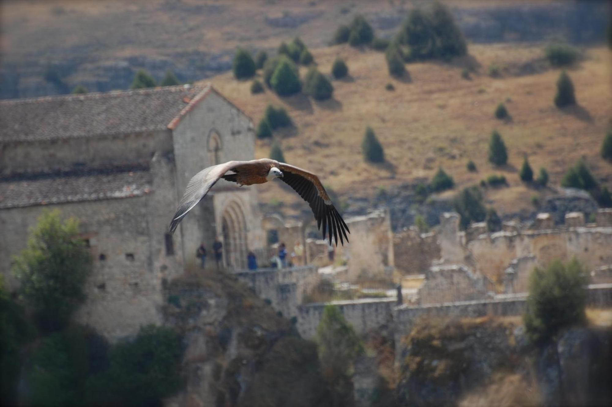 El Rincon De Las Hoces Del Duraton Burgomillodo Exterior photo
